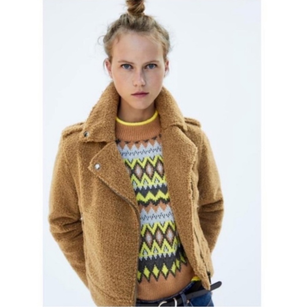 Teddy Moto Jacket - Picture 2 of 9